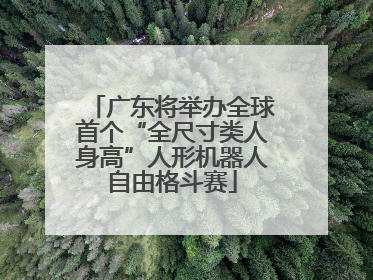 广东将举办全球首个“全尺寸类人身高”人形机器人自由格斗赛